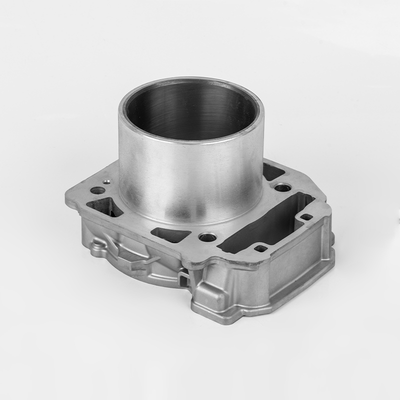 Seri presisi tinggi silinder mesin 2V91 (Φ91) Bombardier 800 Seri presisi tinggi silinder mesin 2V91 (Φ91) Bombardier 800