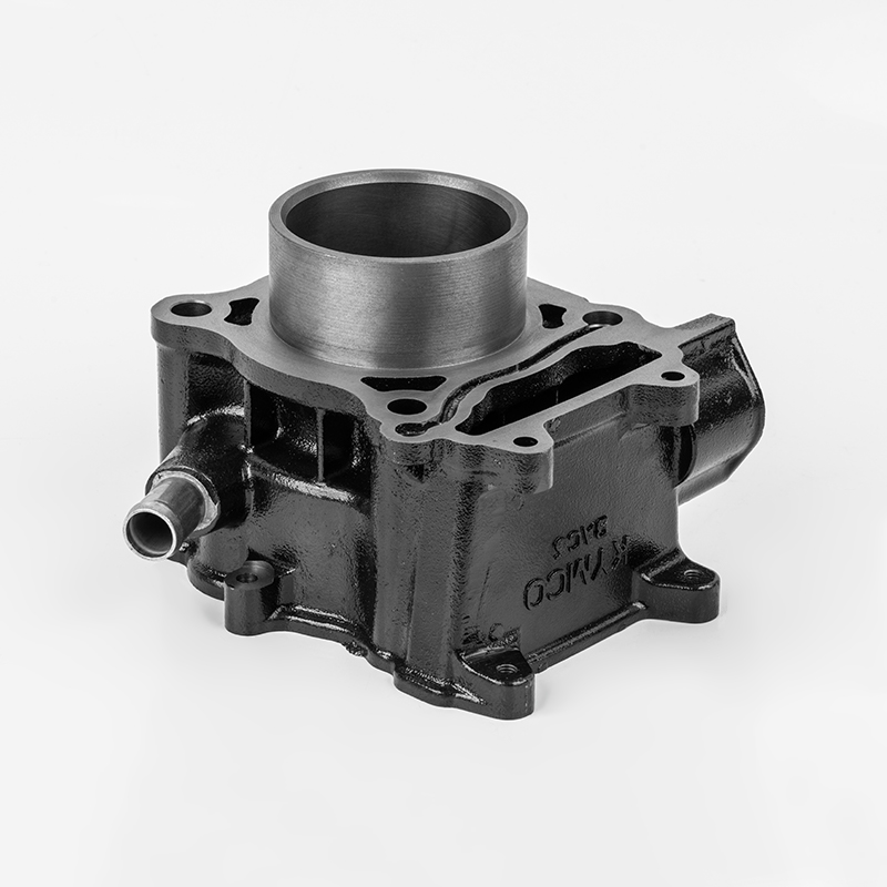 Seri tahan lama silinder besi cor BAC5 (Φ66).